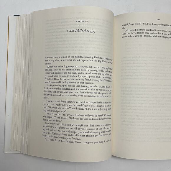 Birds Without Wings by Louis de Bernières First Edition Hardcover Book Novel - Picture 8 of 13